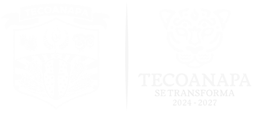 GOBIERNO DE TECOANAPA